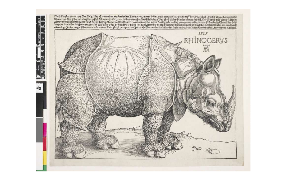 Dürers oprindelige næsehorn, 2015